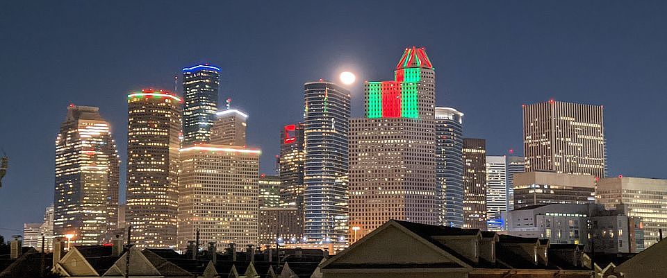 Houston Skyline View