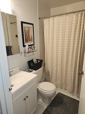 Rented by Douglas Elliman | media 8
