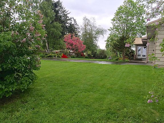 Front yard