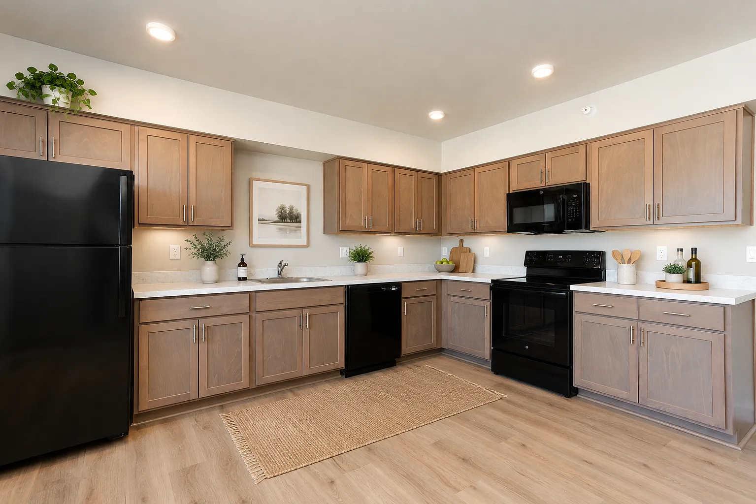 2 bed, 1000 sqft, $1,795 — Photo 4