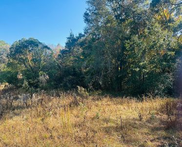 Douglass Ave, Defuniak Springs, FL, 32435