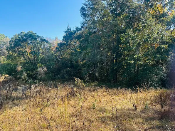 Douglass Ave, Defuniak Springs, FL 32435