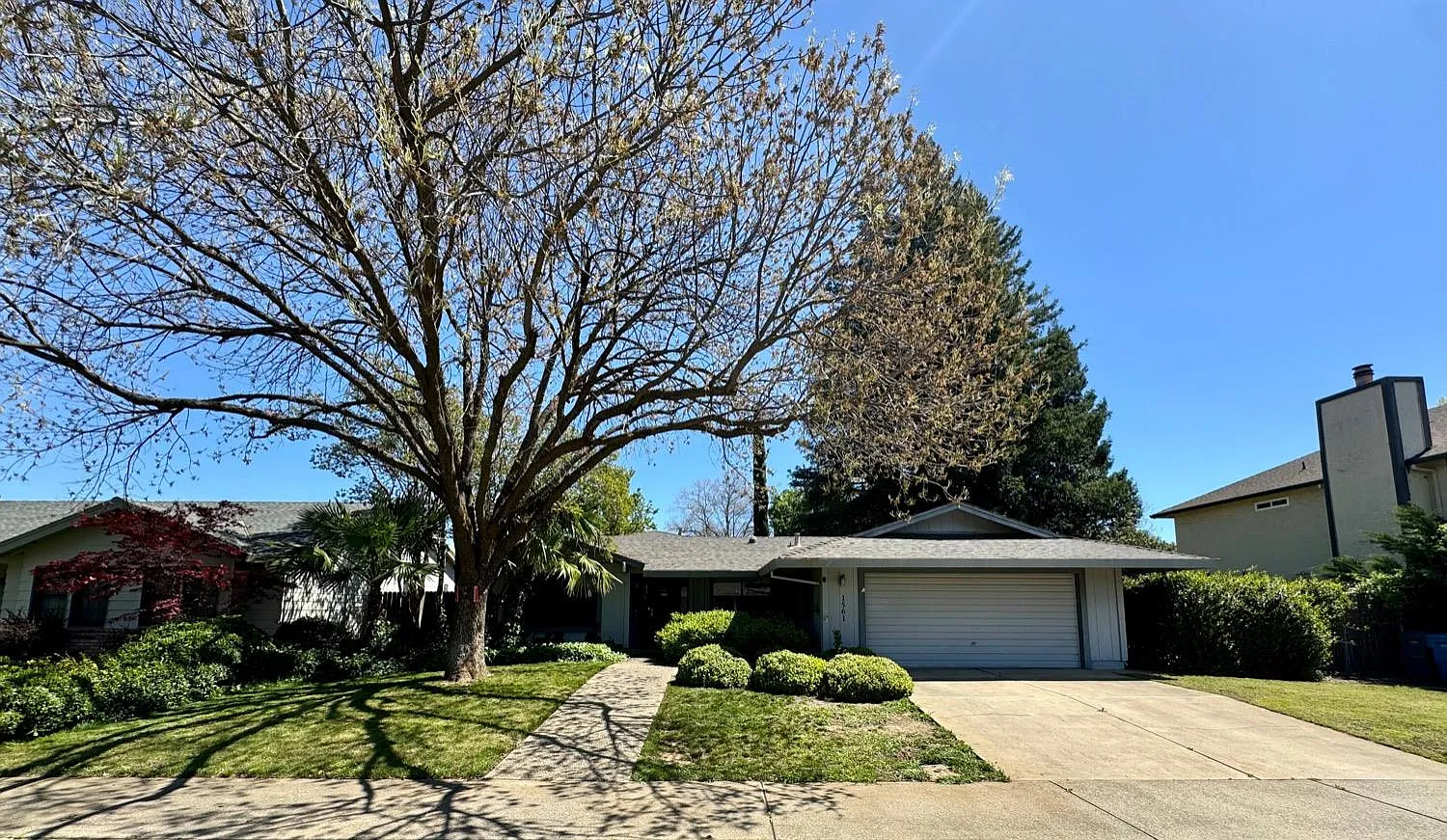 1561 Christifer Ln photo 1