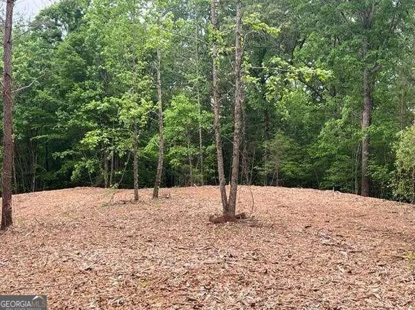 5 Swan Bridge Rd, Talking Rock, GA 30175