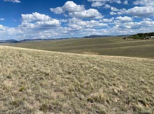 96 Angus Cir, Hartsel, CO 80449