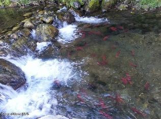 Unit #2-LOT 4, Bayview, ID 83803