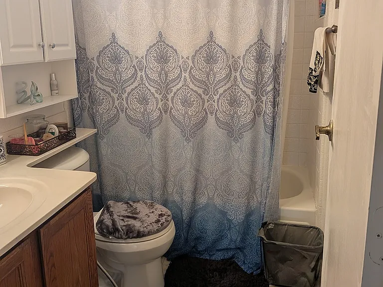 Upstairs bathroom