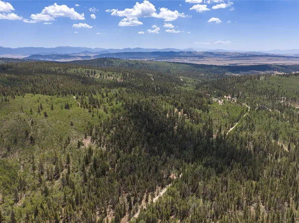195 Ten High Lane, Fairplay, CO 80440