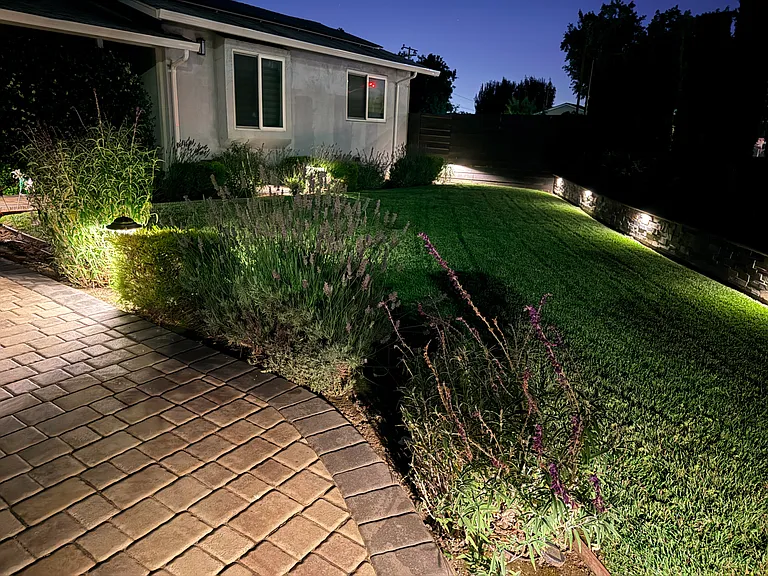 Frontyard