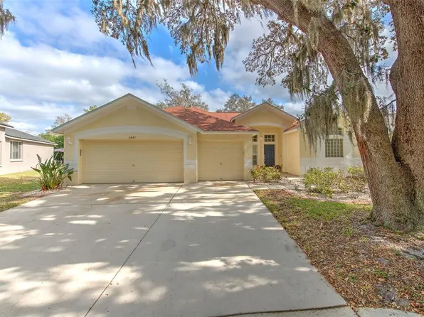 2641 Brookville Dr, Valrico, FL 33596