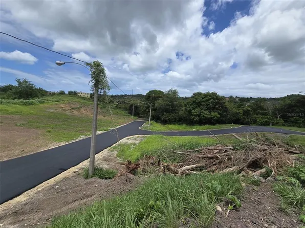 Carr 103 Km 10.9 Bo Boqueron Cabo Rojo, Cabo Rojo, PR 00623