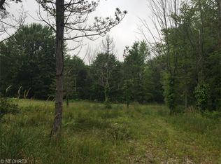 1261 Remsen Rd, Medina, OH 44256