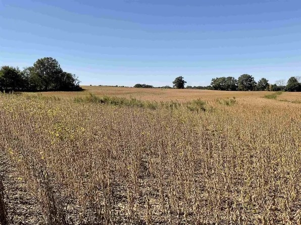 0 Chestnut Bluff Maury C Rd, Halls, TN 38040