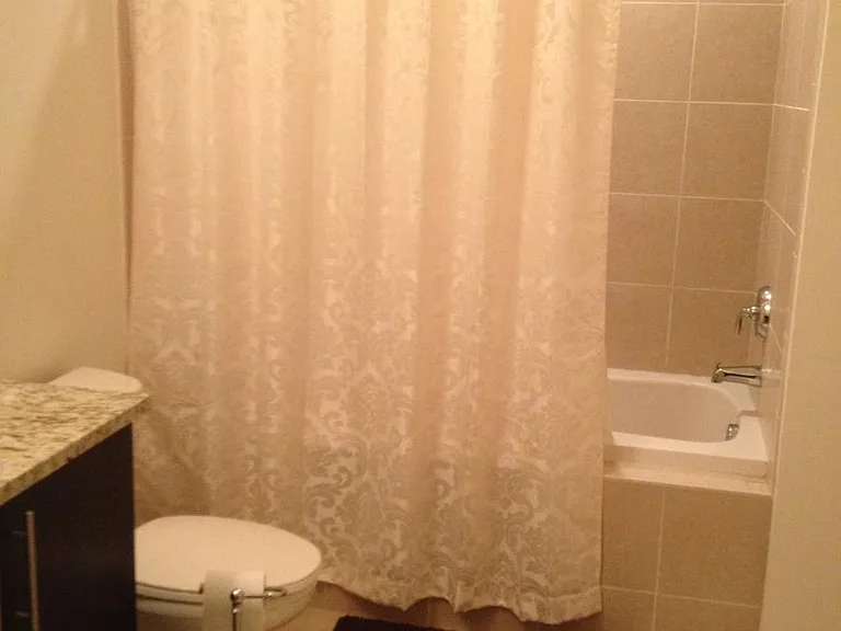 1080 Peachtree St NE #1415FURNISHED — Photo 33