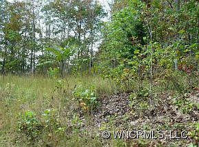 1st image of 527 Overlook Park Dr