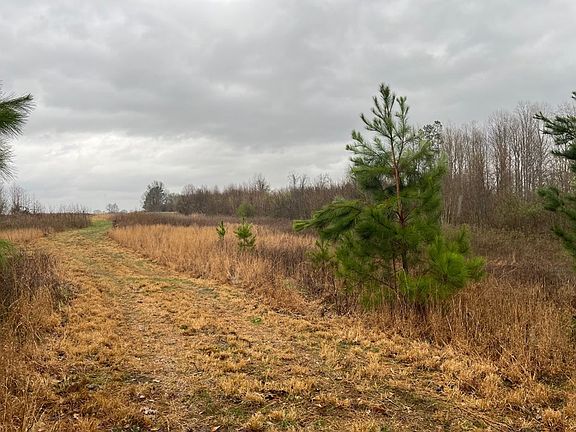 4th image of 0 Perry School House Rd