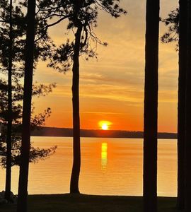 Sweet Fern Ln, Roscommon, MI, 48653