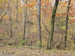 0 Mineral Dr Lot 3, Houston, MO 65483