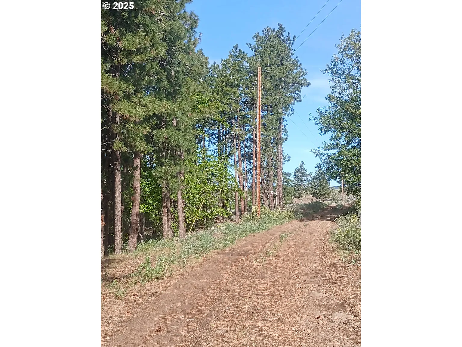 Cougar Rd photo 1