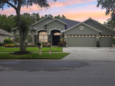 19410 French Lace Dr, Lutz, FL, 33558