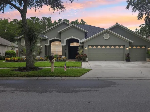 19410 French Lace Dr, Lutz, FL 33558