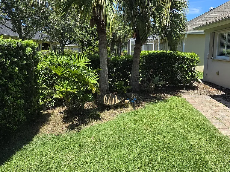 Private Yard with Tropical landscaping
