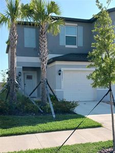 32041 Powderpuff Mimosa Dr, San Antonio, FL, 33576