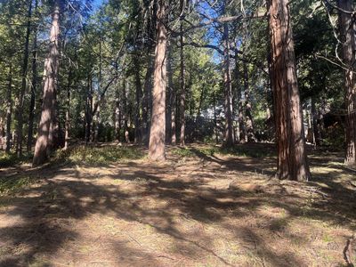 Franklin Dr, Idyllwild, CA, 92549