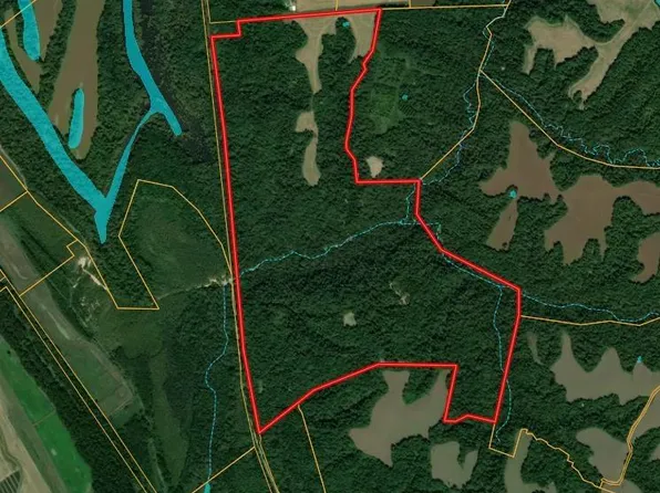 0 Sandy Branch Rd, Bardwell, KY 42023