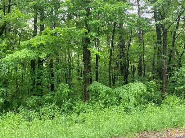 999 Turkey Hollow Lane, Goshen, CT 06756