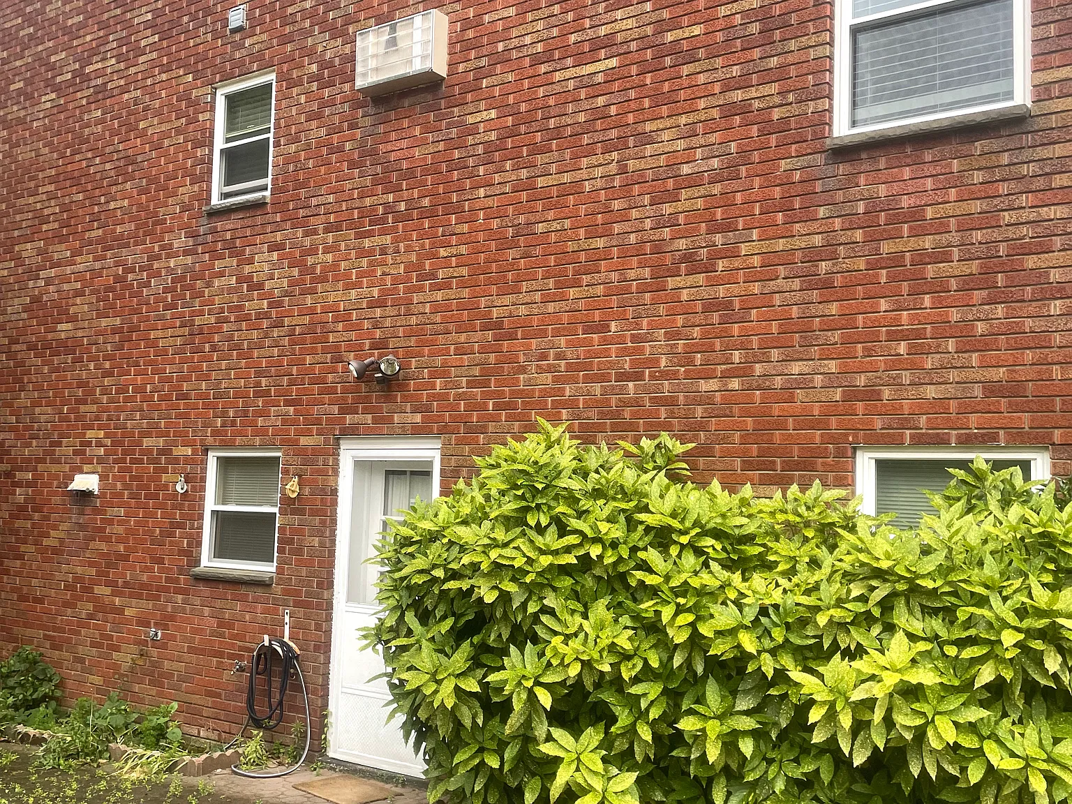 3 bed, 1450 sqft, $3,600 — Photo 3