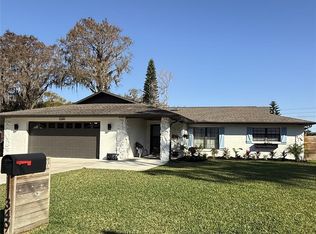 11349 Davison Ln, Tavares, FL 32778