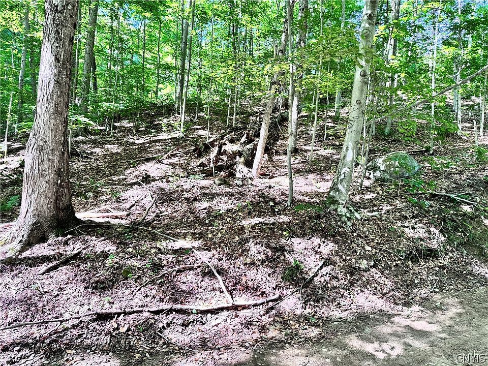 2nd image of Oneida Rd Lot 5