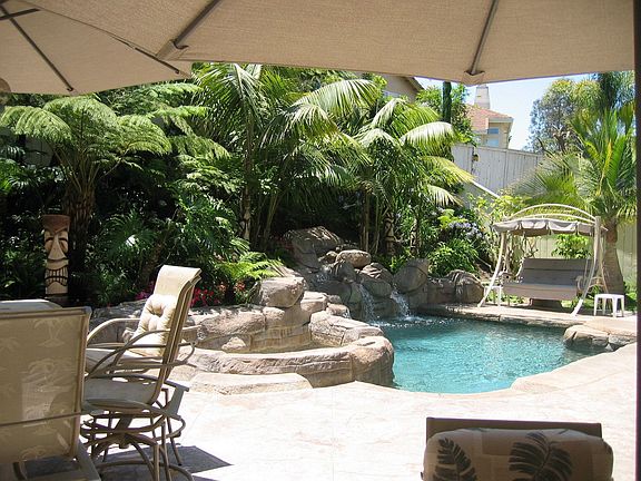 Salt Water Pool & Spa