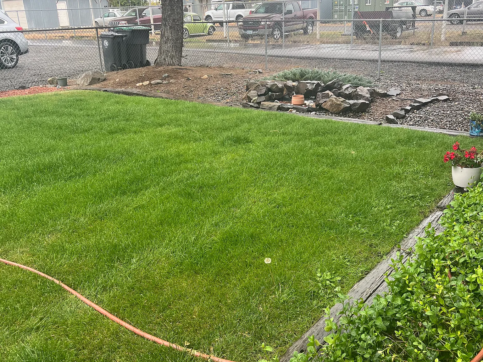 2 bed, 1000 sqft, $1,900 — Photo 2