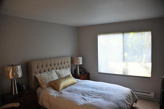 5th image of 4217 Shelter Creek Ln