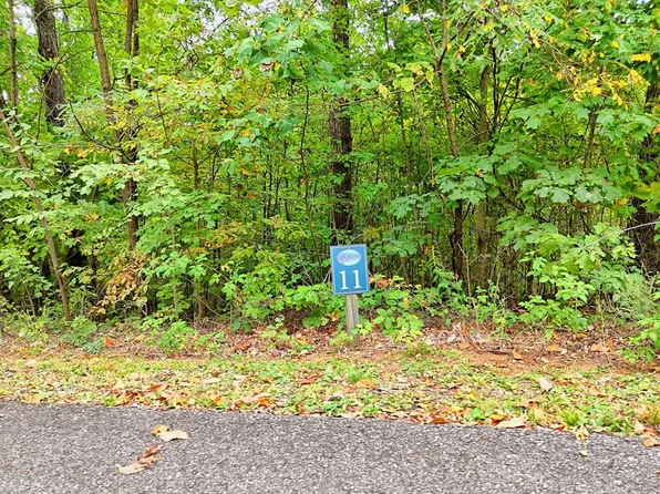 11 Skyview Dr, Hayesville, NC 28904