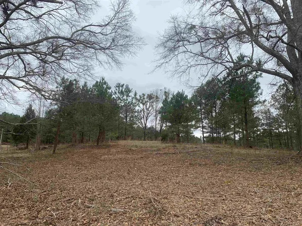 0 Coweta Heard Rd, Grantville, GA 30220
