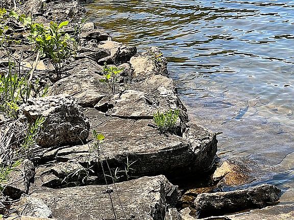 5th image of 1000 S Shore Dr