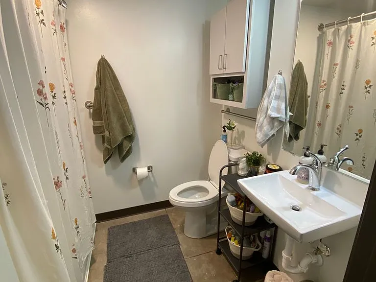 521 W 2nd Street - Leijona — Photo 76