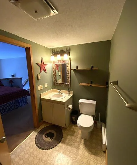 17 Snowtree Ledges Ln — Photo 17