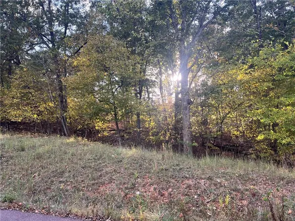 8 Nine 12 &sw 1/4 Red Hollow Rd, Gravois Mills, MO 65037