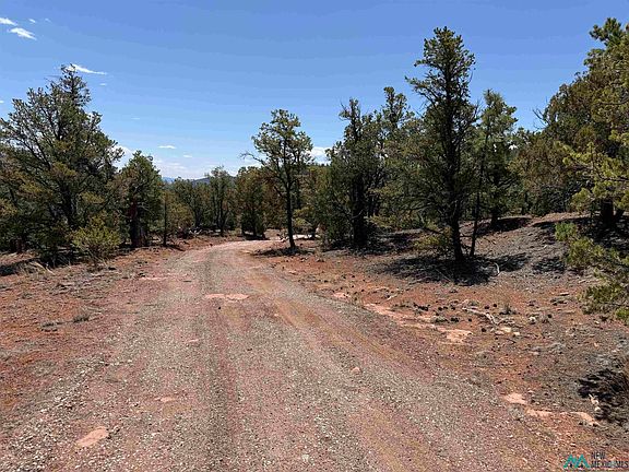 3rd image of Little Arrow Rd