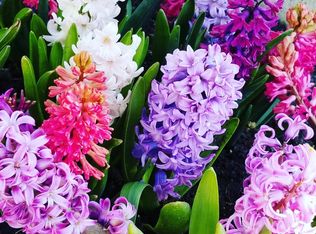 405 Melissa Cir, Romeoville, IL 60446