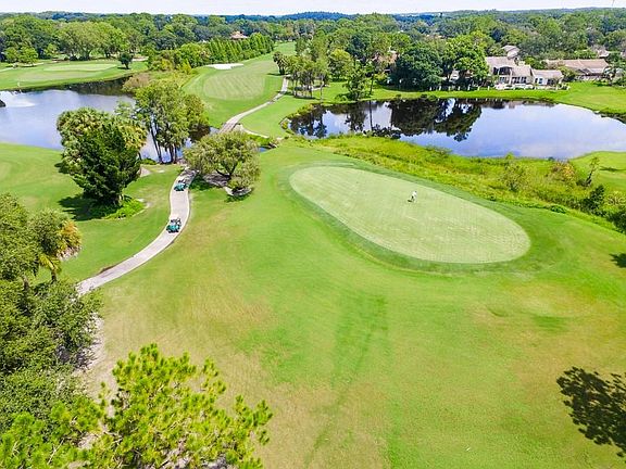 4th image of 4213 Carrollwood Village Dr