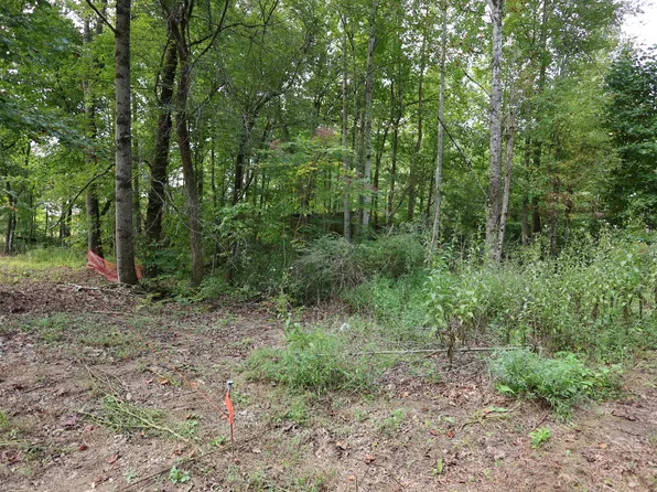 245 Woolf Pass Ln, Sparta, TN 38583