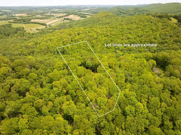 15 Little Mountain Rd, Oakland, MD 21550