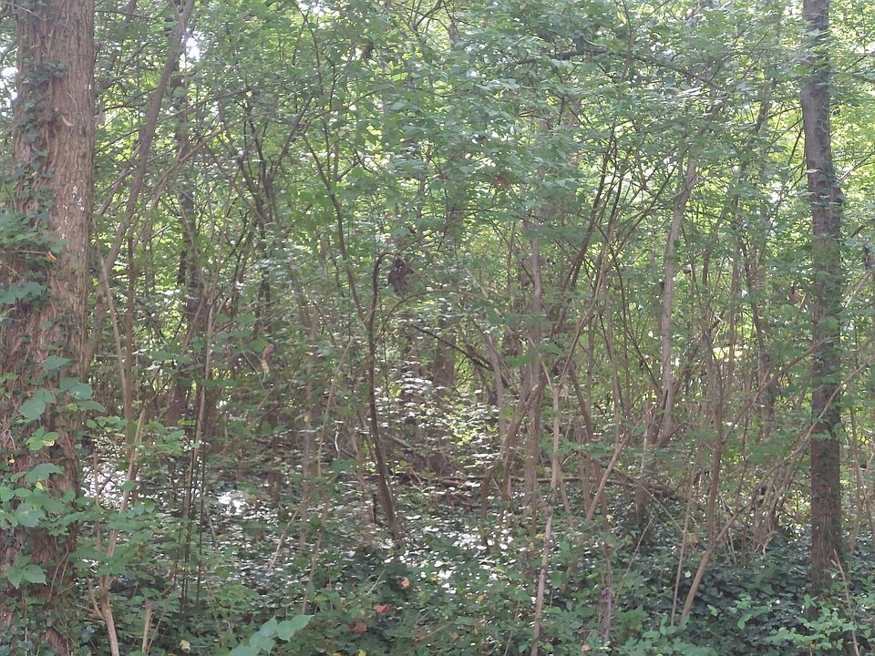 2nd image of 0 Granville Ter Lot 3-4&7