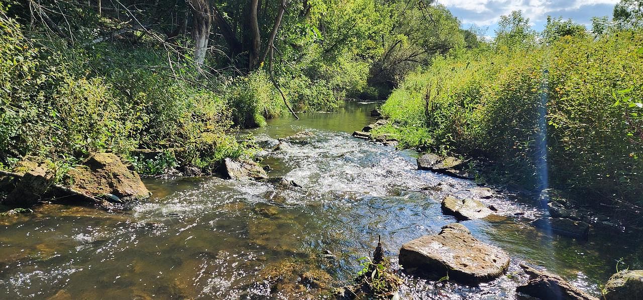 5001 OAKDALE AVENUE, Cashton, WI 54619 Zillow