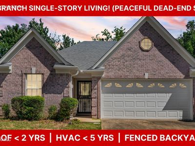9852 Pigeon Roost Park Cir, Olive Branch, MS, 38654